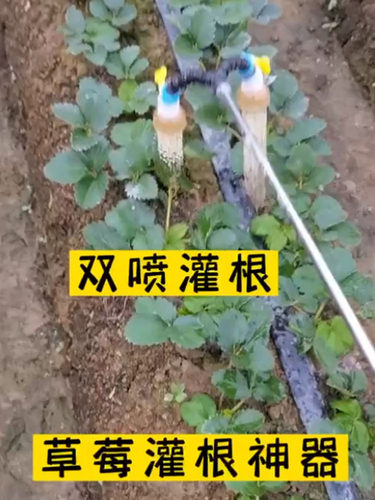 浇水神器大棚喷头草莓喷头