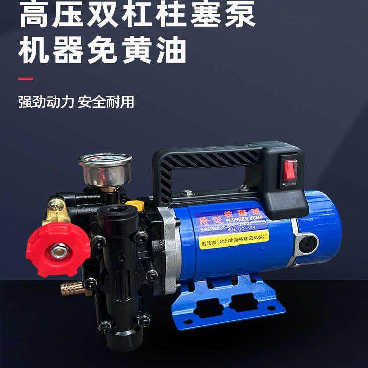 农用高压双缸柱塞打药机泵隆迈手提12v24v48v60v220v果树电动喷雾