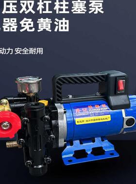 农用高压双缸柱塞打药机泵隆迈手提12v24v48v60v220v果树电动喷雾
