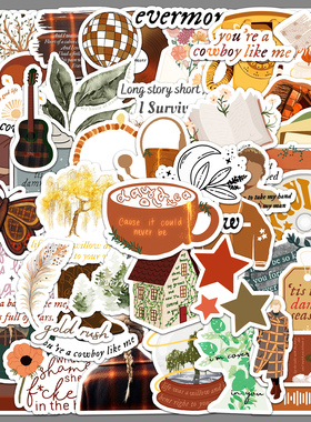 50张泰勒专辑evermore贴画名称霉霉Taylor欧美歌星笔记本咕卡贴纸