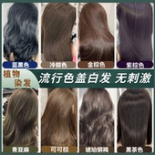 染发剂流行色盖白发膏植物无味天然黑茶色男女泡泡纯自己在家染发