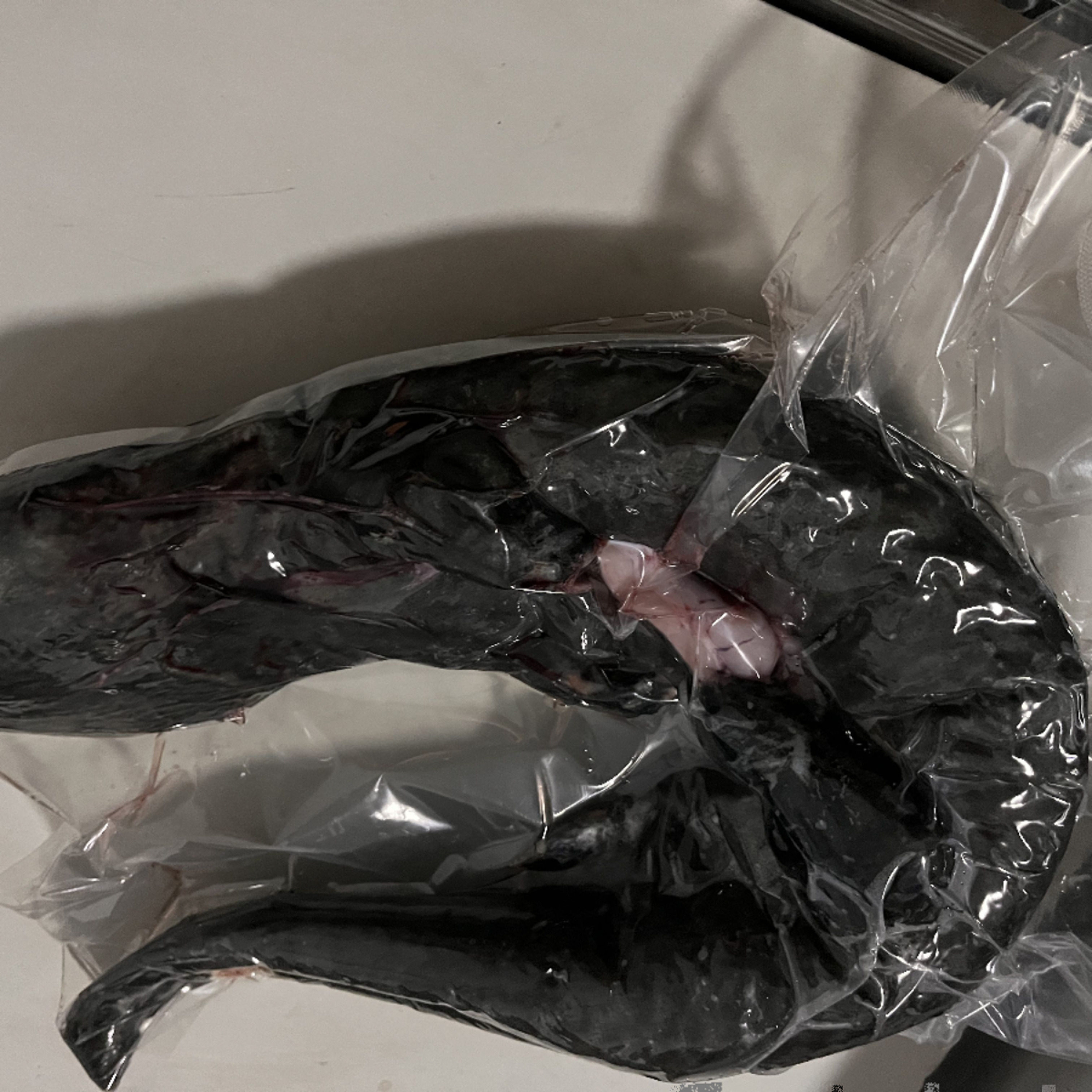 娃娃鱼现杀食用8.5斤一条速冻特许养殖水产