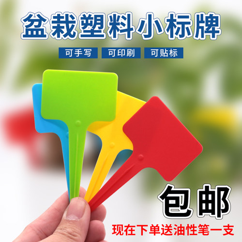 盈力盆栽标识卡花卉苗木记号牌