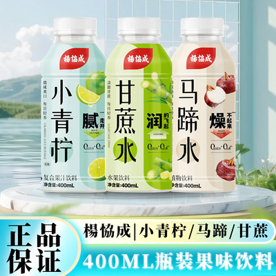 杨协成果味饮料小青柠马蹄水瓶装