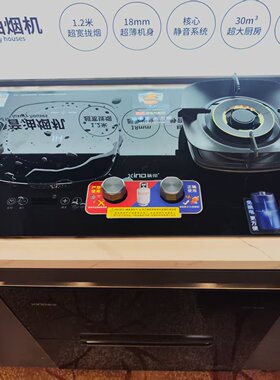 新帝XD30-QS31R 3000W电磁1级能效燃气灶