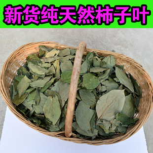 新货泡水包邮柿树叶中药材野生天然柿叶茶干柿子叶柿子叶茶500克