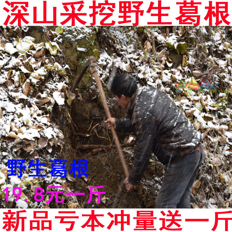 葛根野生葛根片葛根块葛根茶葛根野生葛根丁茶天然葛根干块丁送一
