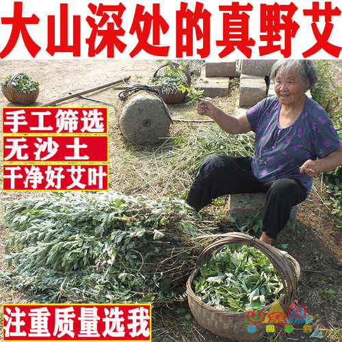五月端午采摘大山野生干艾叶2斤