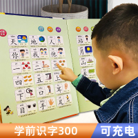 乐乐鱼学前识字300点读书早教幼儿童启蒙幼儿园认字神器有声挂图