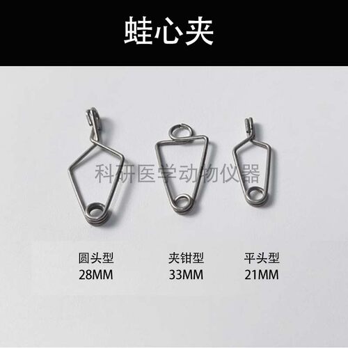 不锈钢蛙心夹蛙腿蛙嘴夹夹取蛙心