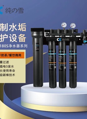 纯之雪净水器商用大流量CZX-180单联双联直饮机咖啡机奶茶饮品店