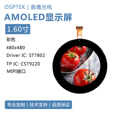 鱼鹰光电1.6寸AMOLED圆测屏套件 触摸屏QSPI接口