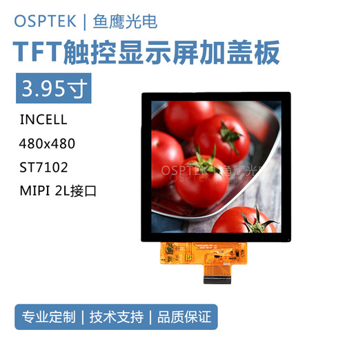 鱼鹰光电3.95寸触控彩屏加盖板480*480 MIPI 2L接口