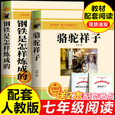 骆驼祥子和钢铁是怎样炼成的