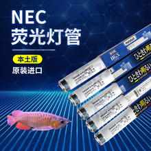 日本进口NEC灯管T8龙鱼灯6700K红龙金龙彩蝶灯架专用发色诱色灯管