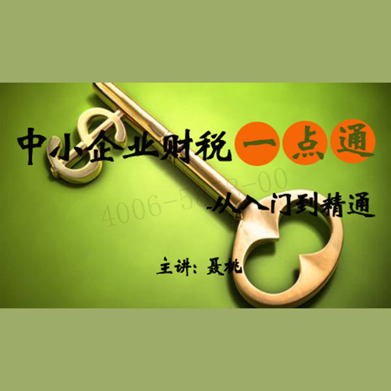 正版包票 聂桃 中小企业财税一点通 从入门到精通 视频课程非DVD