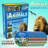动物世界大百科12DVD纪录片