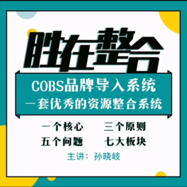 胜在整合一套优秀的资源整合系统在线视频课程非DVD 中智3