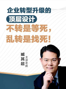 企业转型升级的顶层设计 臧其超  在线网络课程非DVD  中智5.3