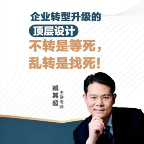 企业转型升级的顶层设计 臧其超  在线网络课程非DVD  中智5.3