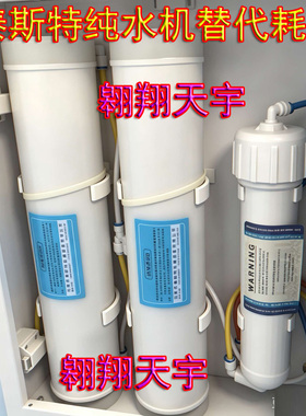 泰斯特实验室纯水机树脂混床AB初级过滤组件RO反渗透膜安全过滤件