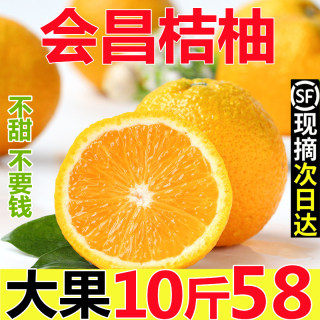 江西赣州会昌桔柚10斤新鲜水果现摘非庆元建阳甜柚子大果顺丰包邮