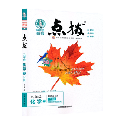 九年级下册化学点拨人教版 初中化学教材同步点拨训练辅导资料 9年级下册 教材完全解读知识讲解训练辅导工具书