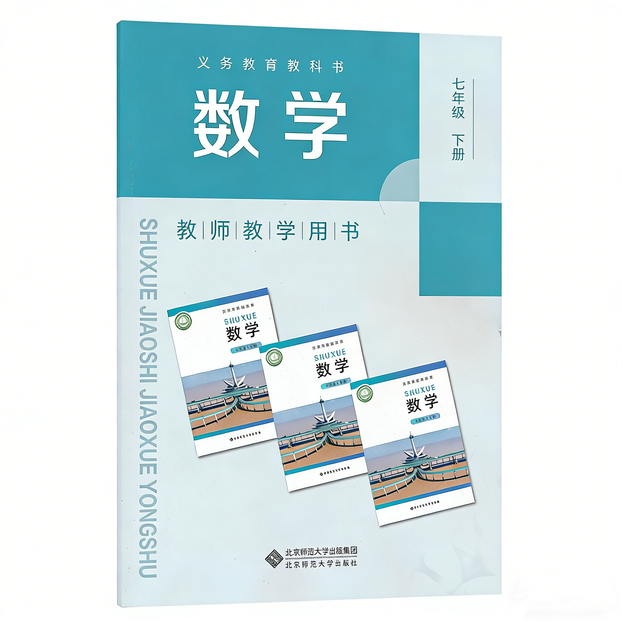 小学初中上下册数学教参北师大版数学一二三四五六七八九年级上下册教师用书北京师范大学出版社教师资格证招聘考试用书任选JS