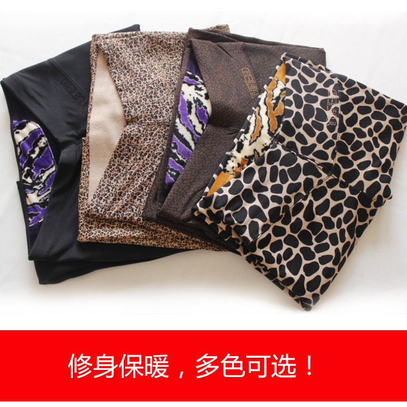 Pantalon collant Moyen-âge simple en nylon - Ref 750586 Image 5