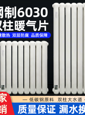 钢二柱6030暖气片家用壁挂式加厚钢制散热器大水道水暖集中供暖