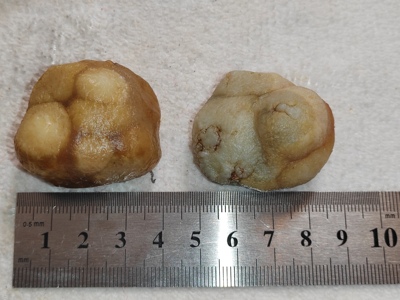 黑山玛瑙原石新疆巴楚黑山筋脉石玻璃皮磨砂皮血脉铁线彩玛瑙专场