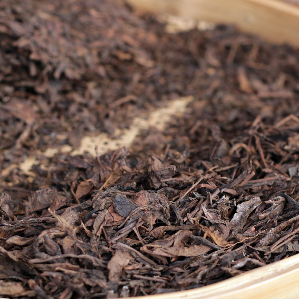 1995年原种古树六堡茶广西梧州黑茶传统工艺农家中叶茶木质香药香