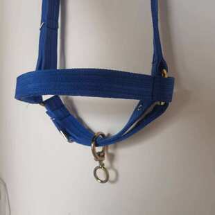 秃头牛笼套板带扁带头套大牛小牛犊笼头牛龙头加长可调节加固拴牛