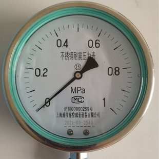 系列 不锈钢耐震压力表 YTH 上海涌纬