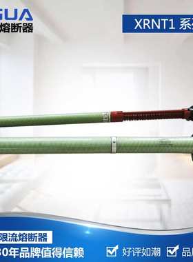 智广XRNT(ZGR20)-40.5KV/50A风力发电专用保护高压限流熔断器厂家