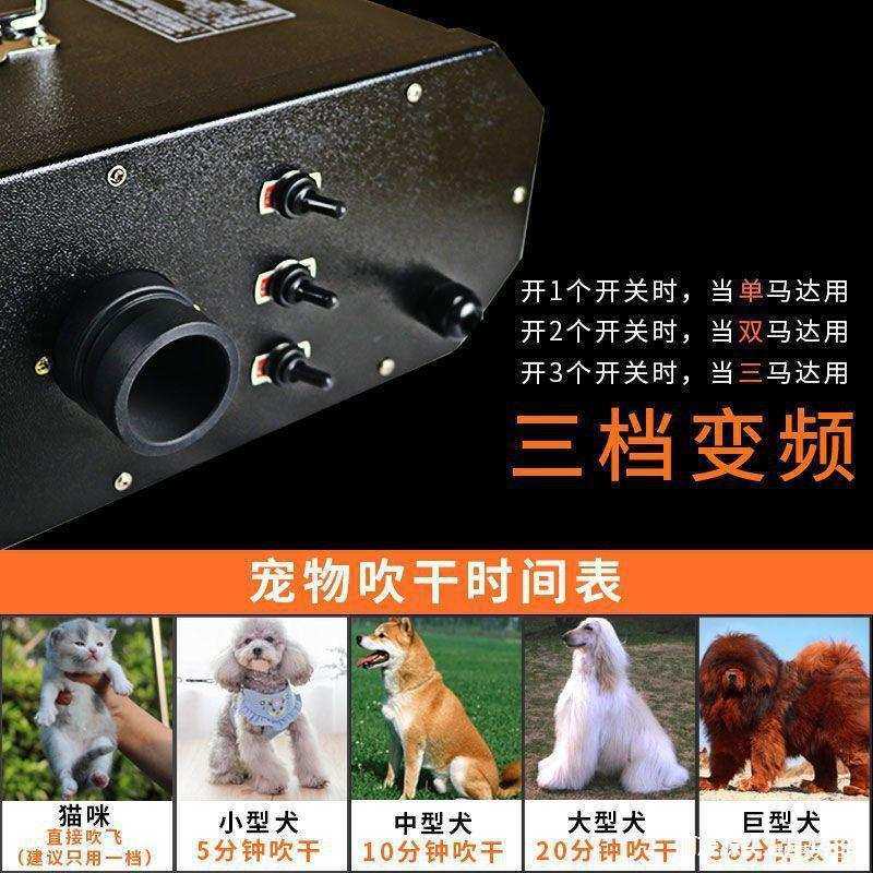 马达宠物吹水机大功率静音大型犬藏獒吹毛机狗狗洗澡吹风机大风,3C数码配件,USB灯,淘宝优惠券,粉丝福利购,淘宝优惠卷