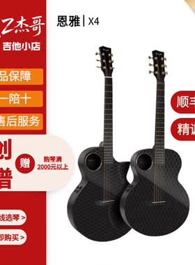 恩雅初学碳纤维低音怪兽