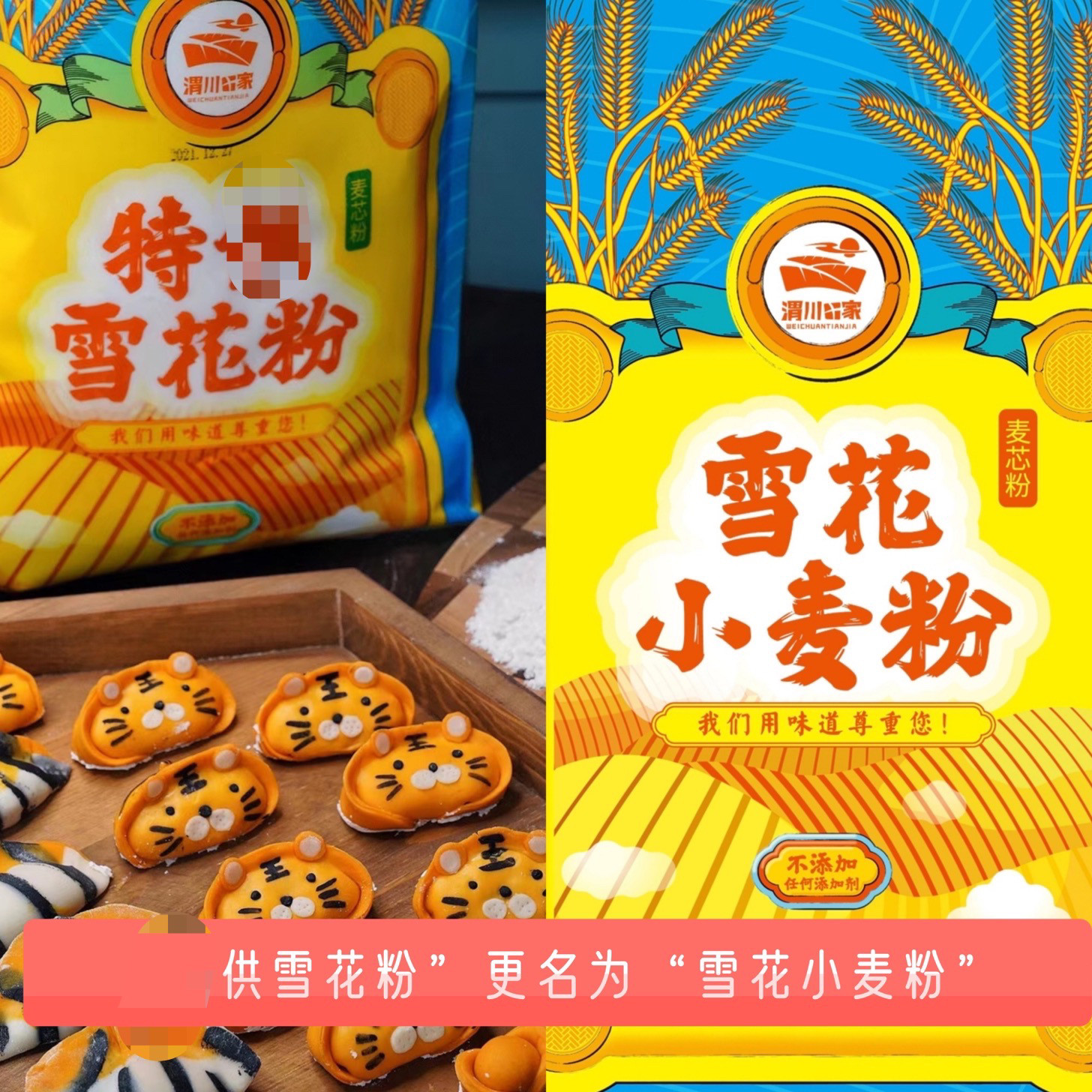 渭川田家雪花小麦粉麦芯粉面粉10斤家用高筋烘焙 无纺布包装面条