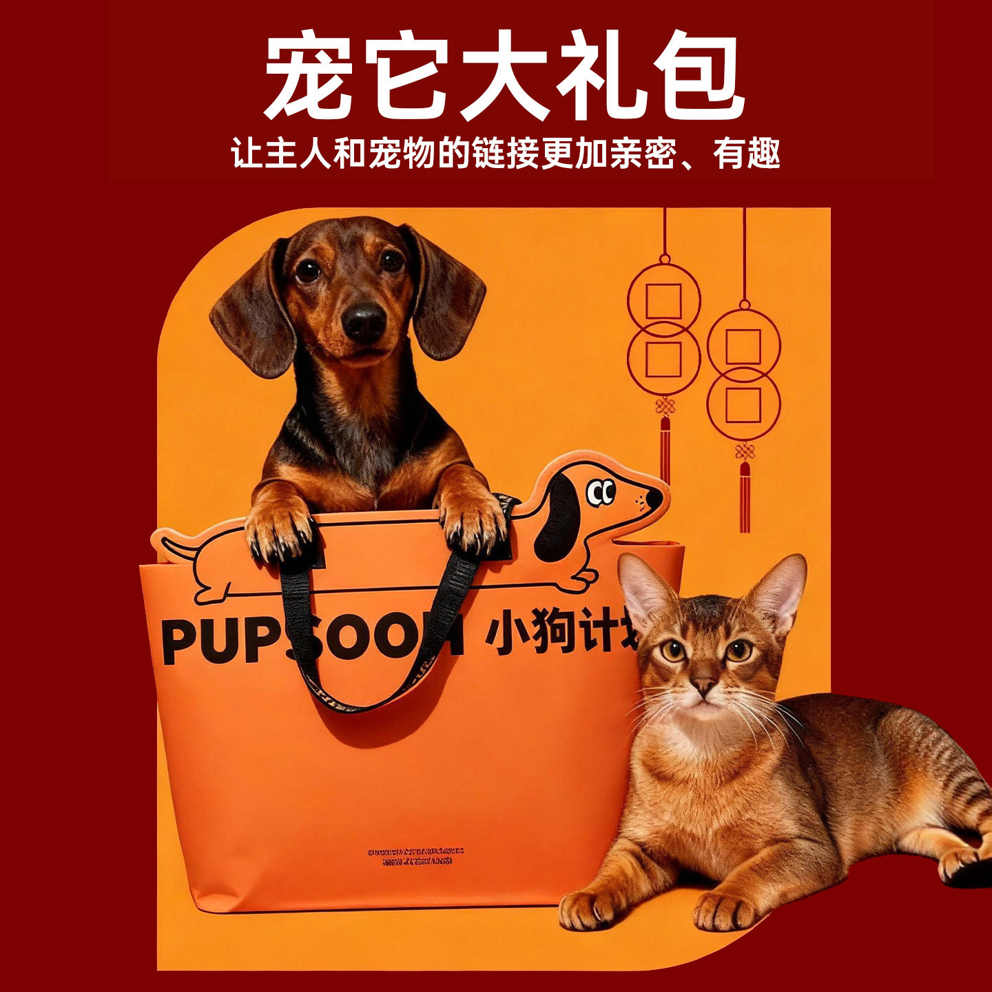 小狗计划新年猫狗玩具礼盒