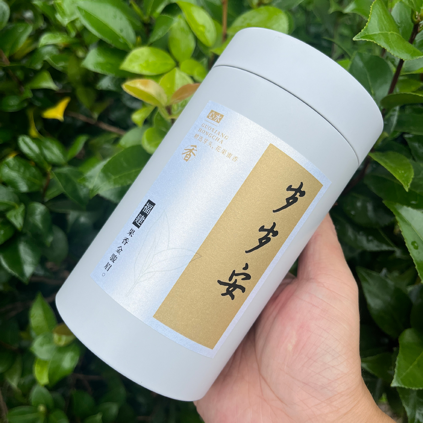 红茶金骏眉【梅子果香|精选全芽】头采蜜香梅占武夷山桐木关特级