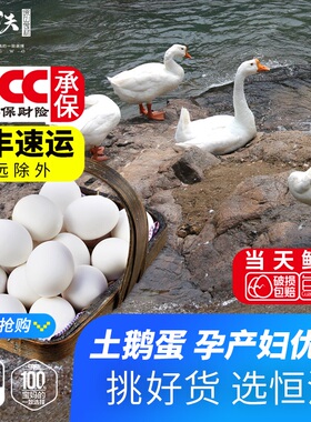 江山土鹅新鲜鹅肉整只高刘大白鹅老鹅农家散养草鹅大顺丰包邮番鸭