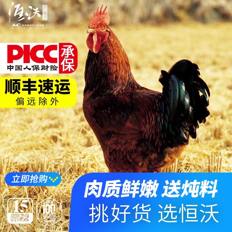 恒沃新鲜土鸡保证好吃农家散养