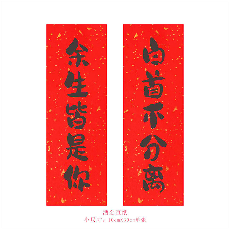 对联家用门贴高档创意门联迷你书法2027羊年小对联春联门贴庆装饰