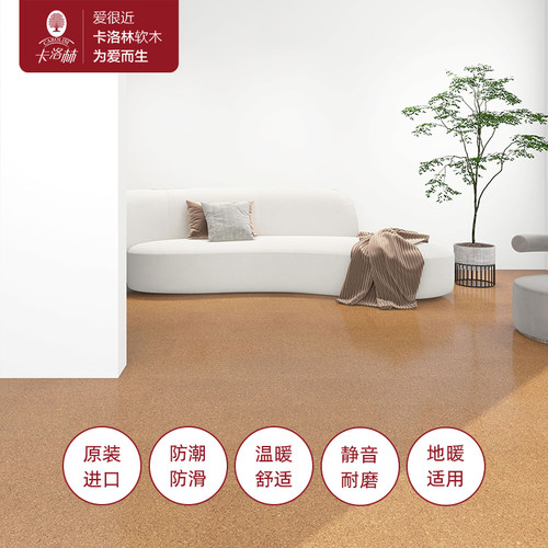 德国bona原装进口改性硅烷