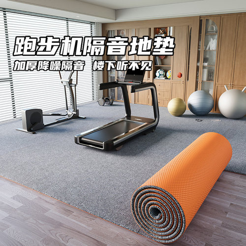 跑步机减震垫隔音地垫防震专业楼层防滑运动楼上楼下专用加厚地毯