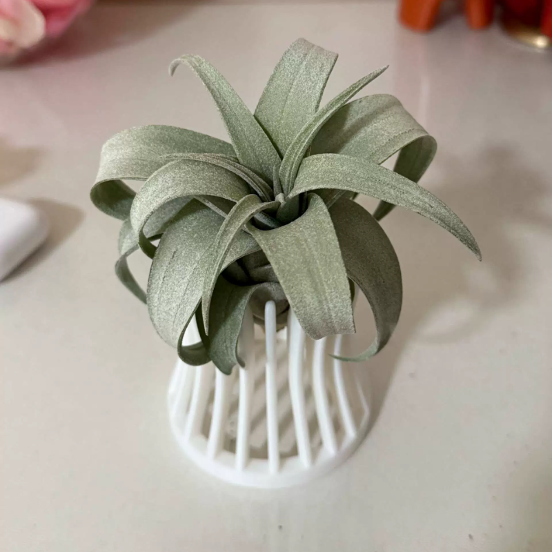 大型空气凤梨空气草 桌面支架 底座花架创意3d打印空凤底托包邮