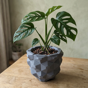 龟甲龙纹纹3d花盆高颜值大口径块根仙人球多肉龙舌兰种植盆