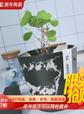 无相黑胶花盆13*11园艺盆龟甲龙块根植物多肉热植现代简约花器