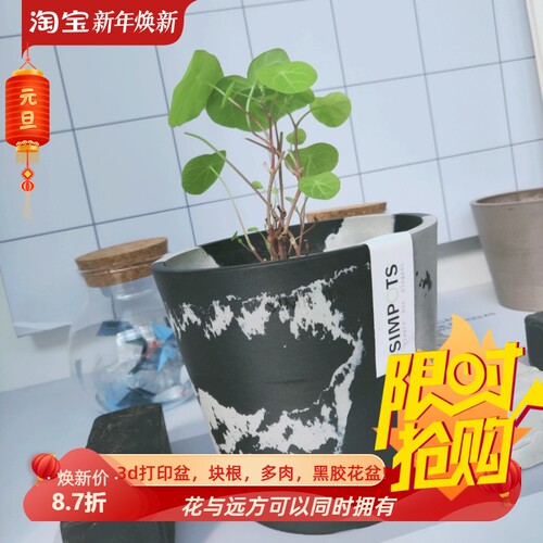 无相黑胶花盆13*11园艺盆龟甲龙块根植物多肉热植现代简约花器