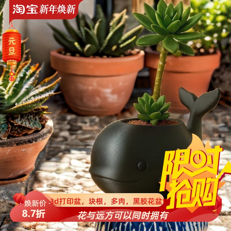 加厚胖胖海豚仙人球可爱花盆3d打印桌面绿植秋海棠块根肉肉芦荟盆